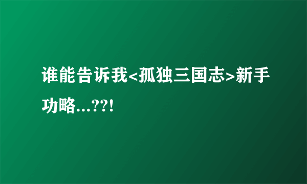 谁能告诉我<孤独三国志>新手功略...??!