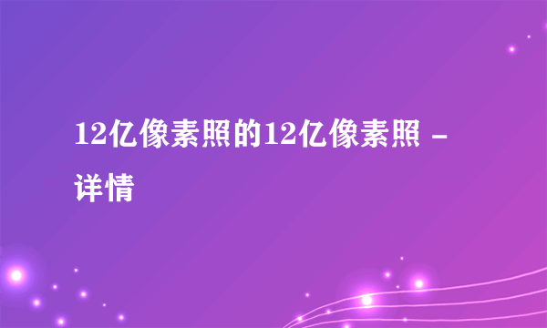 12亿像素照的12亿像素照 - 详情