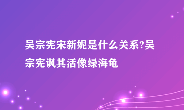 吴宗宪宋新妮是什么关系?吴宗宪讽其活像绿海龟