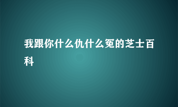 我跟你什么仇什么冤的芝士百科