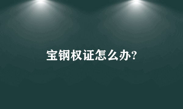 宝钢权证怎么办?