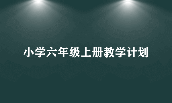 小学六年级上册教学计划