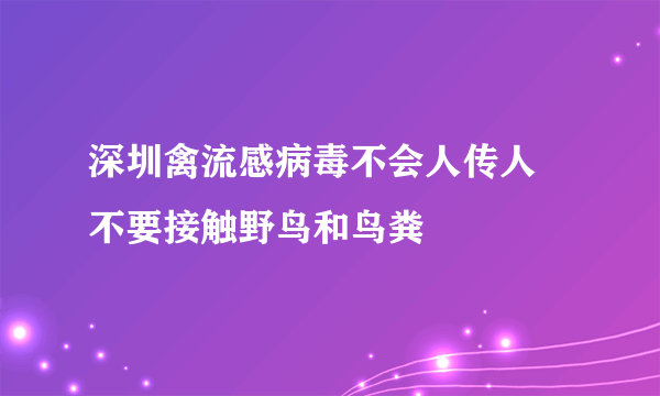 深圳禽流感病毒不会人传人 不要接触野鸟和鸟粪