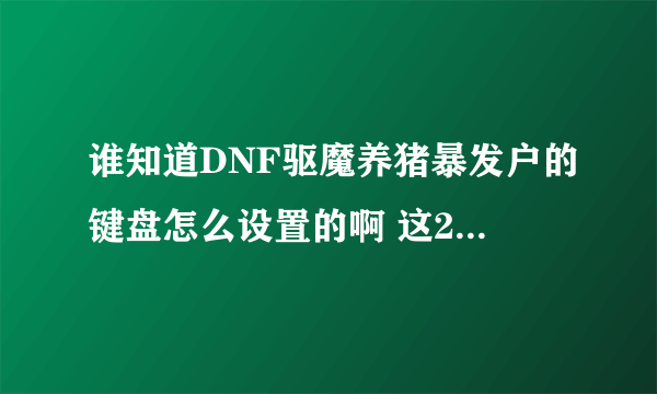 谁知道DNF驱魔养猪暴发户的键盘怎么设置的啊 这2天我才感觉默认键盘真不方便