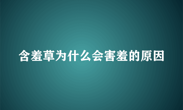 含羞草为什么会害羞的原因