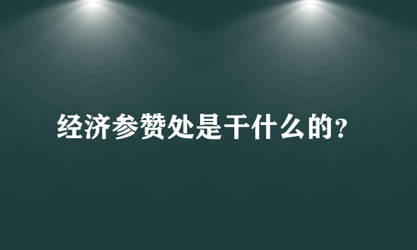 经济参赞处是干什么的？