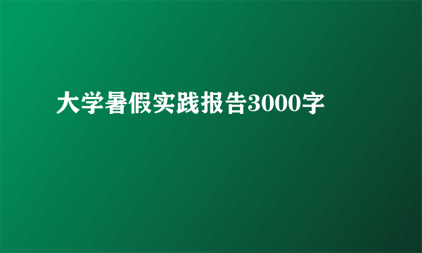 大学暑假实践报告3000字