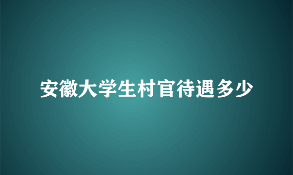 安徽大学生村官待遇多少