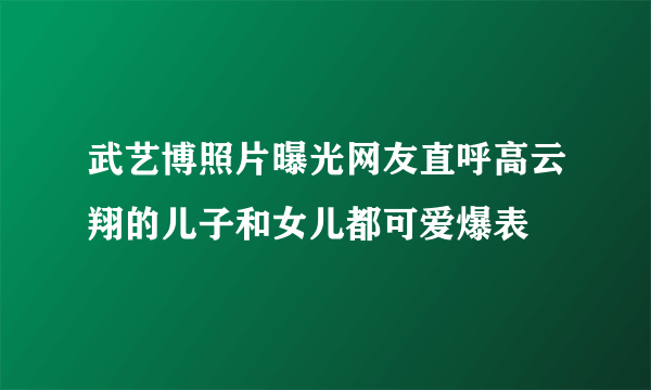 武艺博照片曝光网友直呼高云翔的儿子和女儿都可爱爆表