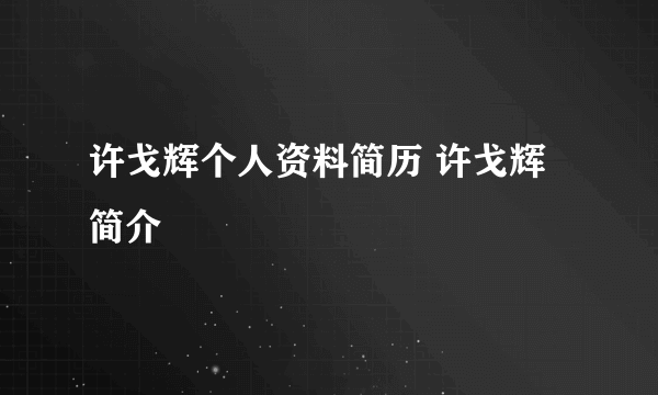 许戈辉个人资料简历 许戈辉简介