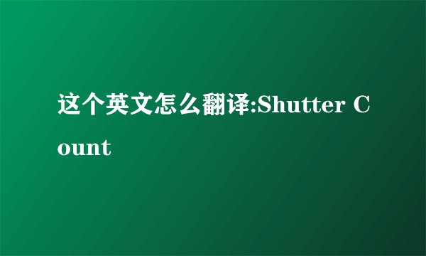 这个英文怎么翻译:Shutter Count