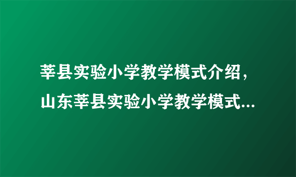 莘县实验小学教学模式介绍，山东莘县实验小学教学模式如何学习？