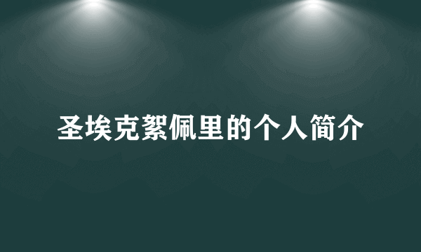 圣埃克絮佩里的个人简介