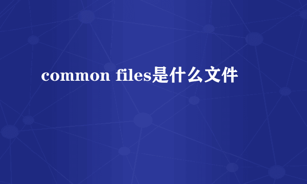 common files是什么文件