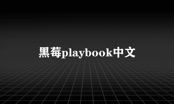 黑莓playbook中文