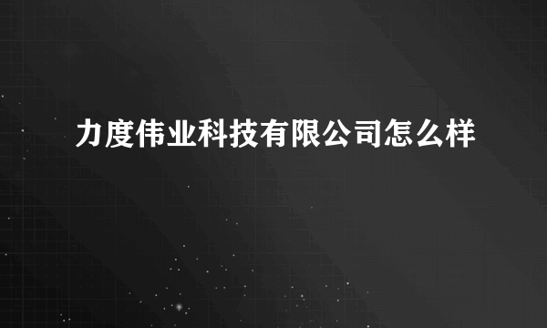 力度伟业科技有限公司怎么样