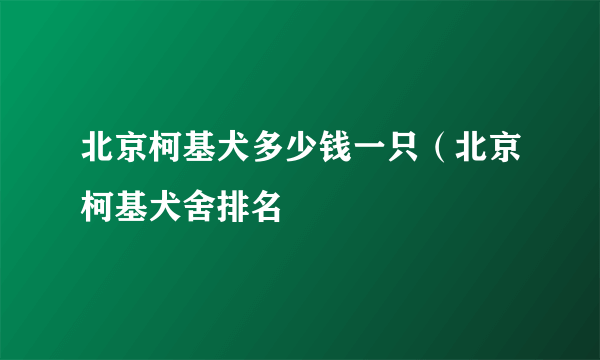 北京柯基犬多少钱一只（北京柯基犬舍排名