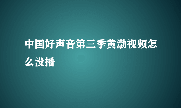 中国好声音第三季黄渤视频怎么没播