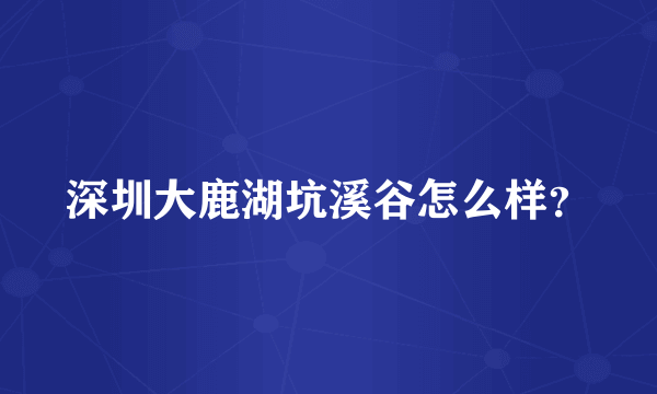 深圳大鹿湖坑溪谷怎么样？