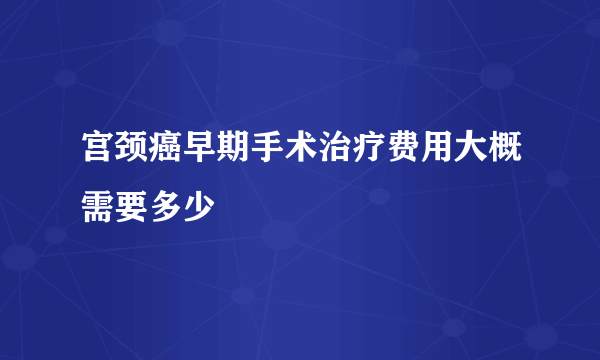 宫颈癌早期手术治疗费用大概需要多少