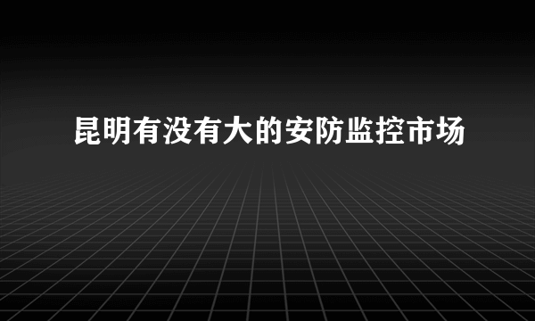 昆明有没有大的安防监控市场