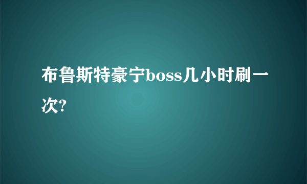 布鲁斯特豪宁boss几小时刷一次?