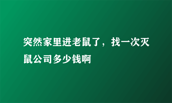 突然家里进老鼠了，找一次灭鼠公司多少钱啊