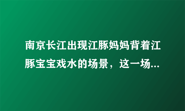 南京长江出现江豚妈妈背着江豚宝宝戏水的场景，这一场景有多温馨？