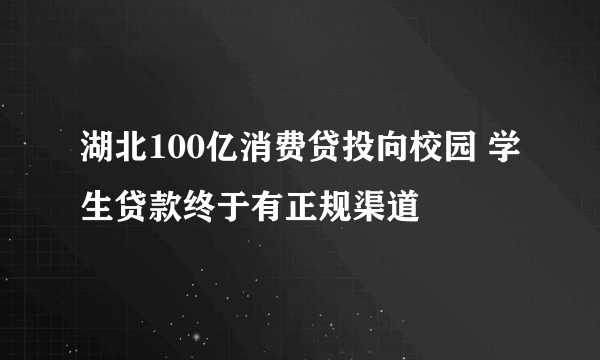 湖北100亿消费贷投向校园 学生贷款终于有正规渠道