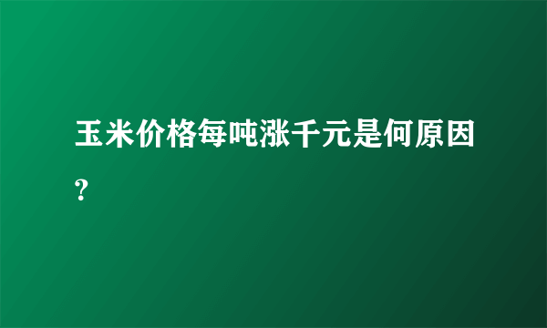 玉米价格每吨涨千元是何原因？