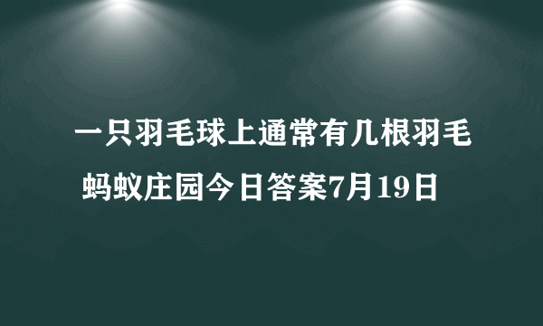 一只羽毛球上通常有几根羽毛 蚂蚁庄园今日答案7月19日