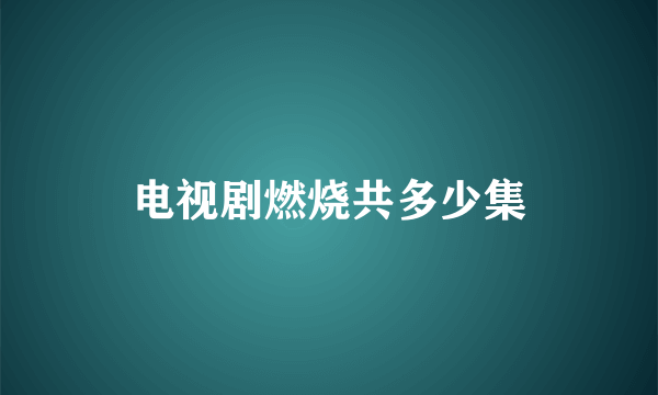 电视剧燃烧共多少集