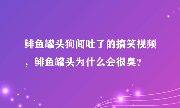 鲱鱼罐头狗闻吐了的搞笑视频，鲱鱼罐头为什么会很臭？