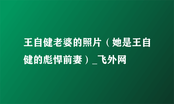 王自健老婆的照片（她是王自健的彪悍前妻）_飞外网