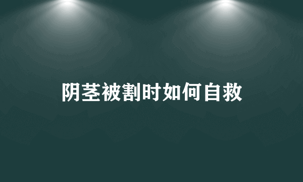 阴茎被割时如何自救