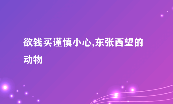 欲钱买谨慎小心,东张西望的动物