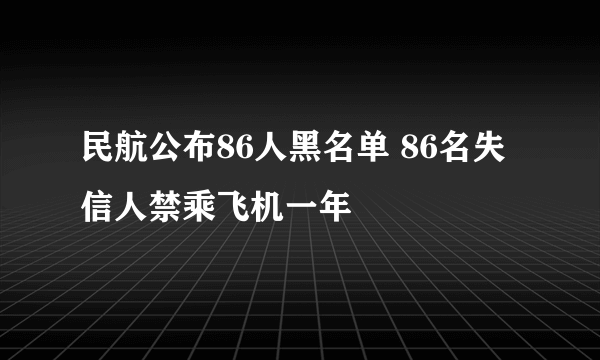 民航公布86人黑名单 86名失信人禁乘飞机一年