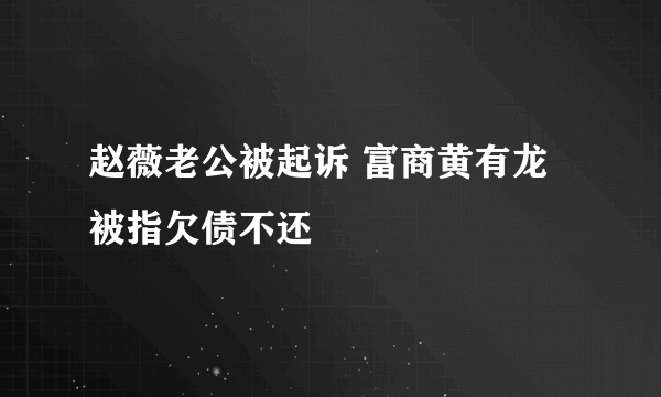 赵薇老公被起诉 富商黄有龙被指欠债不还