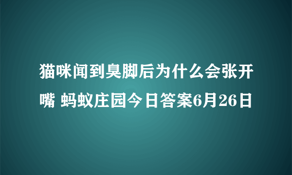 猫咪闻到臭脚后为什么会张开嘴 蚂蚁庄园今日答案6月26日