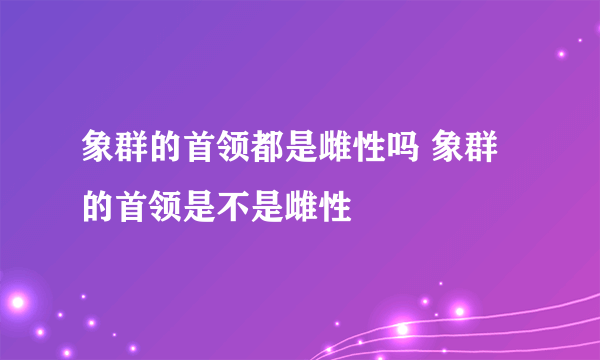 象群的首领都是雌性吗 象群的首领是不是雌性