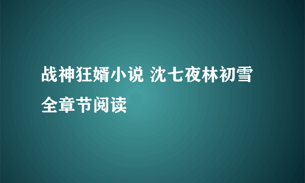 战神狂婿小说 沈七夜林初雪全章节阅读