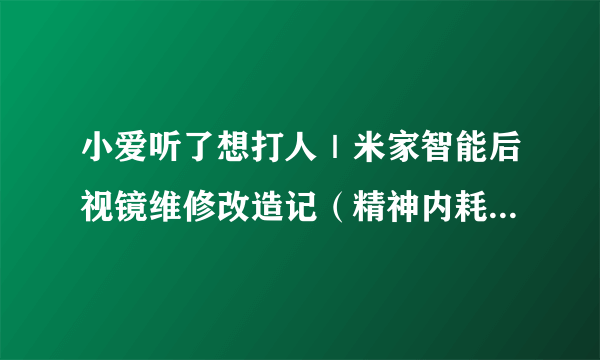 小爱听了想打人｜米家智能后视镜维修改造记（精神内耗了一个月）