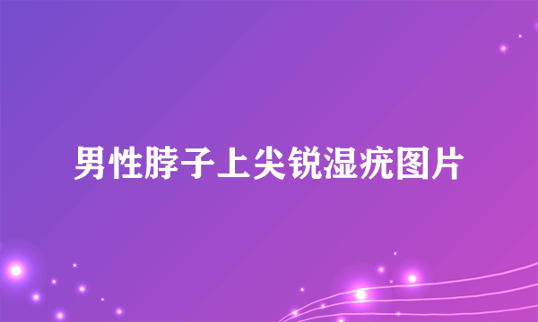 男性脖子上尖锐湿疣图片