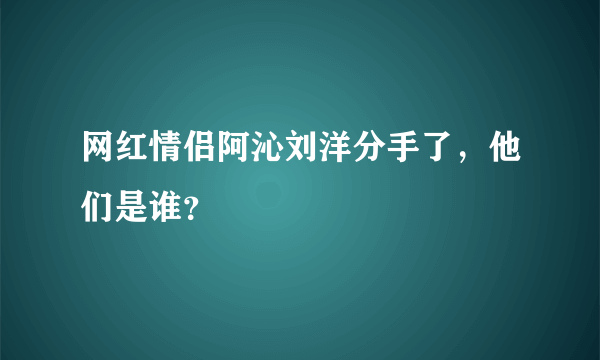 网红情侣阿沁刘洋分手了，他们是谁？