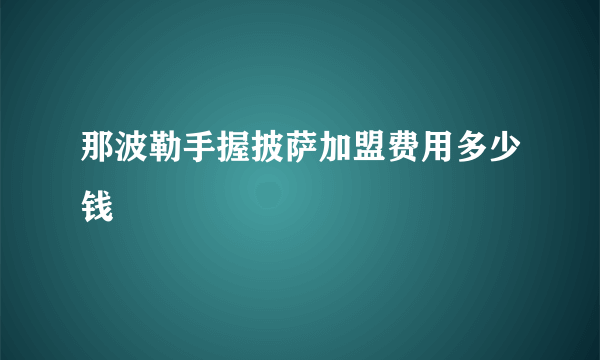 那波勒手握披萨加盟费用多少钱