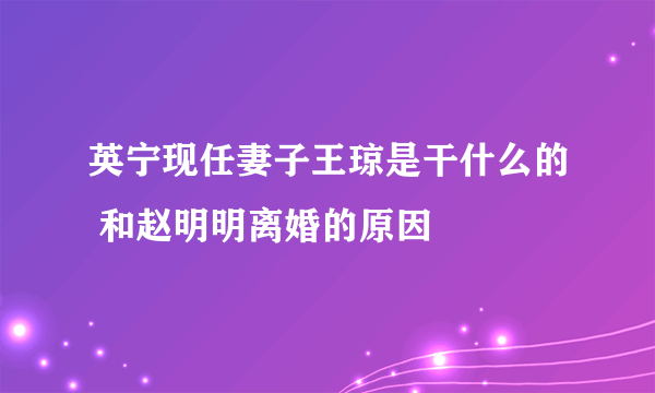 英宁现任妻子王琼是干什么的 和赵明明离婚的原因