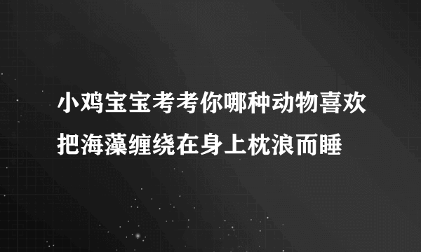 小鸡宝宝考考你哪种动物喜欢把海藻缠绕在身上枕浪而睡