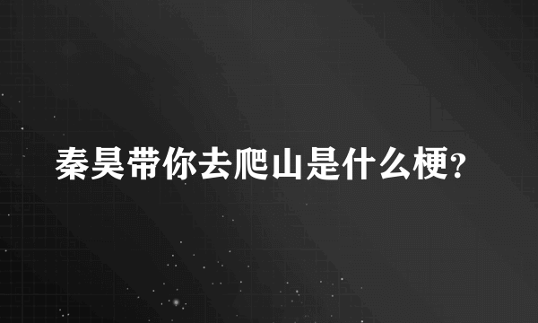 秦昊带你去爬山是什么梗？