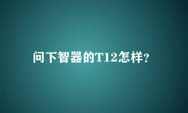 问下智器的T12怎样？