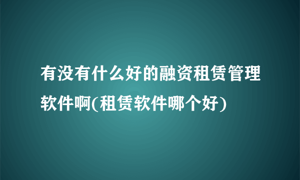 有没有什么好的融资租赁管理软件啊(租赁软件哪个好)